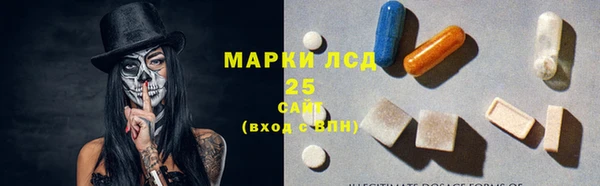 PSILOCYBIN Балабаново