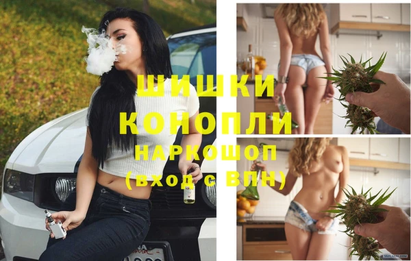 PSILOCYBIN Балабаново