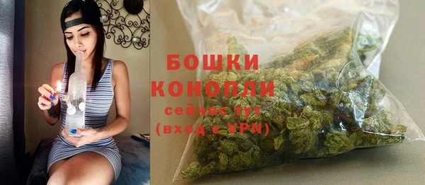 PSILOCYBIN Балабаново