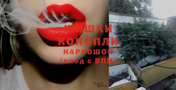 PSILOCYBIN Балабаново