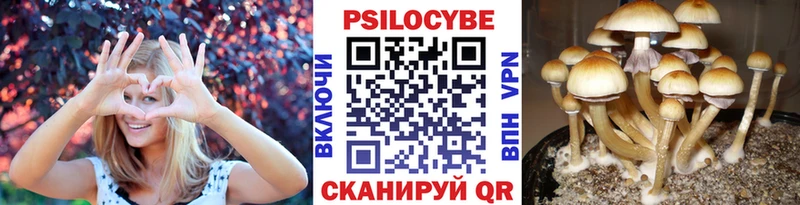 купить наркоту  Первомайск  Псилоцибиновые грибы прущие грибы 